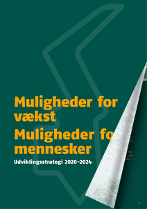 EXAMPLE PAGE  - ANNUAL REPORT - Frederikshavn