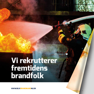ALT EXAMPLE - BROCHURE - Bliv brandmand 